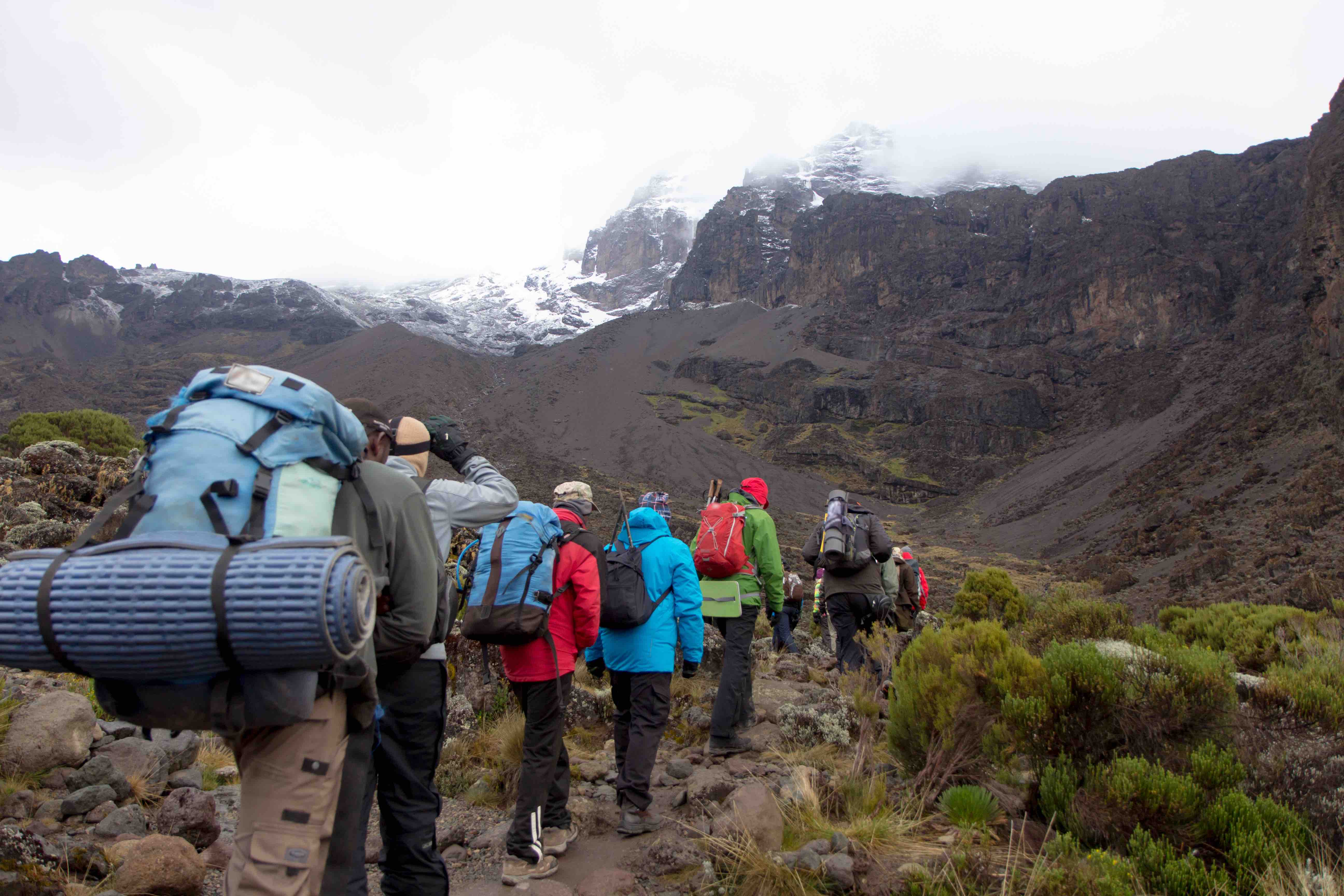 Sept jours sur le Kilimandjaro, récit de randonnée : vivez l’ascension de la plus haute montagne d'Afrique comme si vous y étiez. Carnet de trekking.