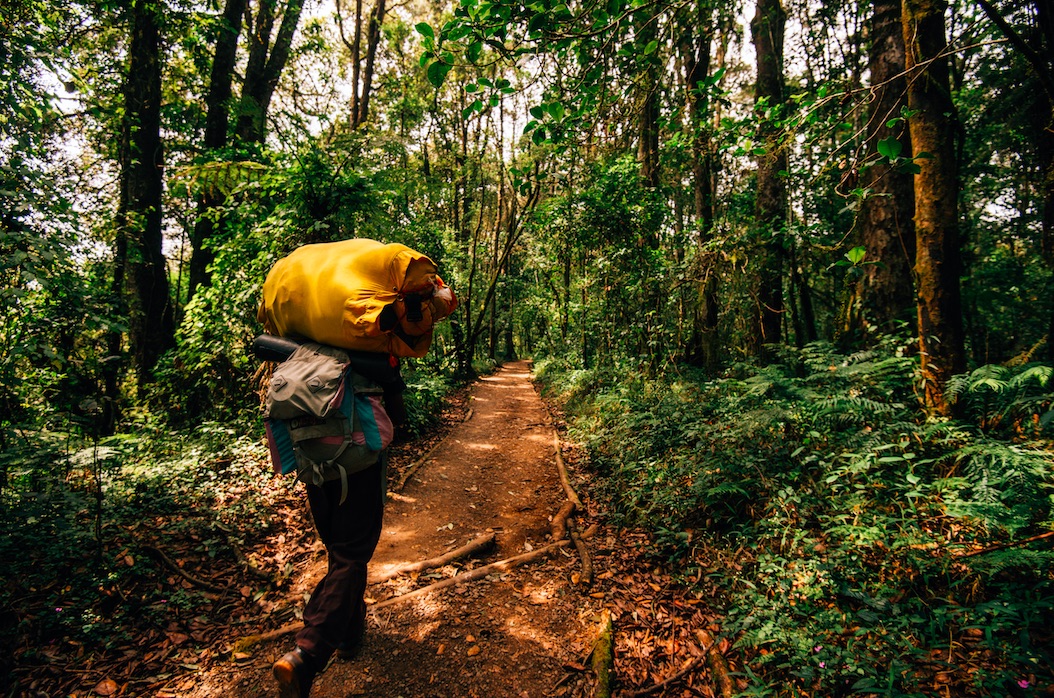 Sept jours sur le Kilimandjaro, récit de randonnée : vivez l’ascension de la plus haute montagne d'Afrique comme si vous y étiez. Carnet de trekking.