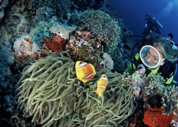 Djibouti, la destination qui va vous surprendre !