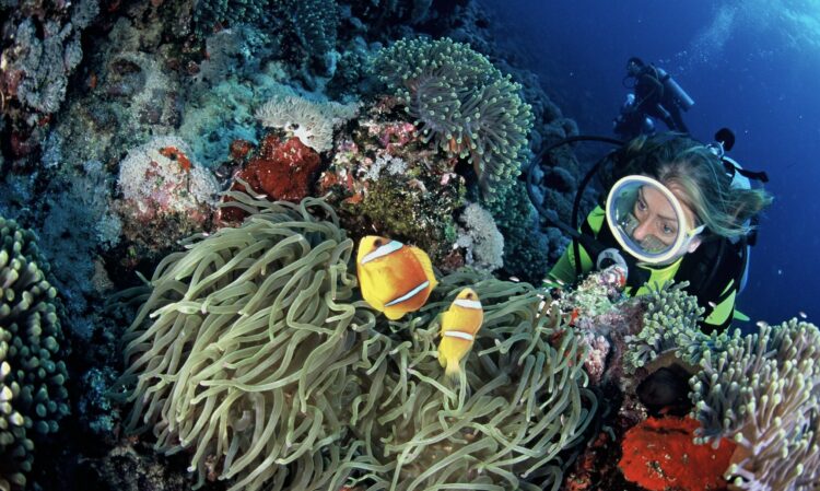 Djibouti, la destination qui va vous surprendre !