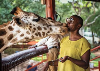 Jessica Nabongo, la blogueuse qui a fait le tour du monde