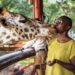 Jessica Nabongo, la blogueuse qui a fait le tour du monde